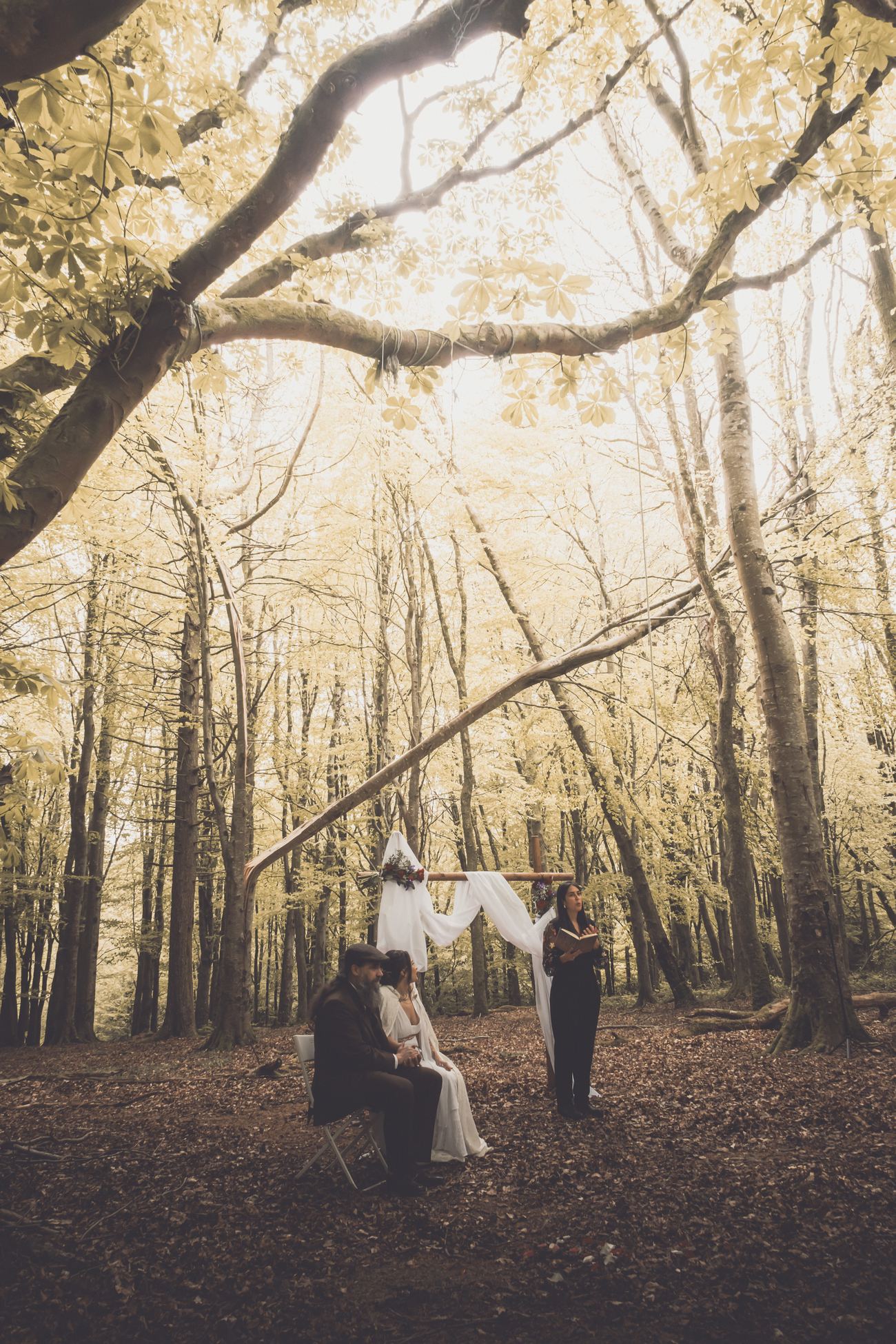 Woodland ceremony, vertical view